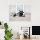 Dog Days of Summer.... Poster (Thuiskantoor)