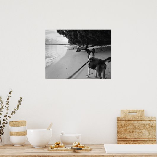 Dog Days Poster (Keuken)