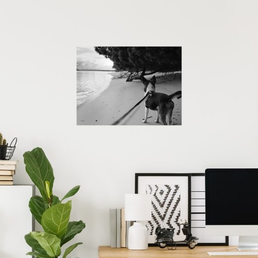 Dog Days Poster (Thuiskantoor)