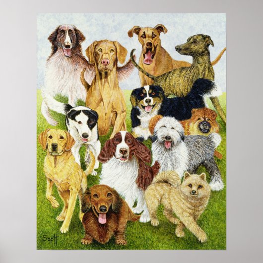 Dog Days Poster (Voorkant)