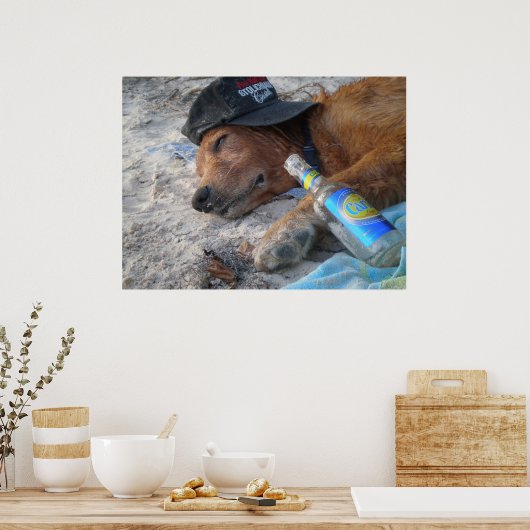 Dog Days Poster (Keuken)