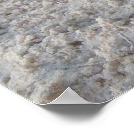 Dog Days Poster (Hoek)