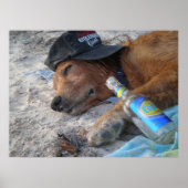 Dog Days Poster (Voorkant)