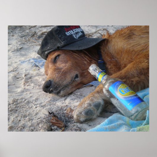 Dog Days Poster (Voorkant)