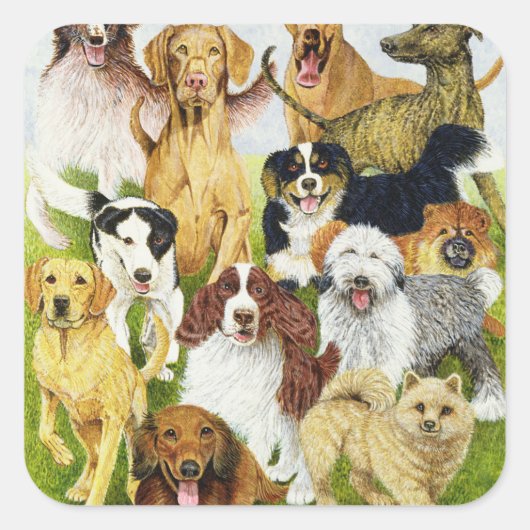 Dog Days Vierkante Sticker (Voorkant)