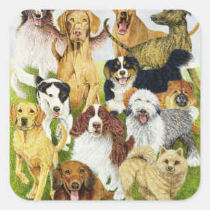 Dog Days Vierkante Sticker