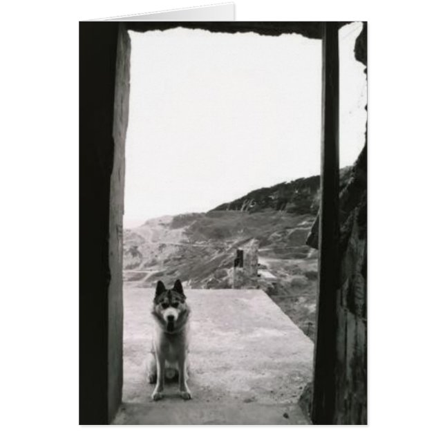 Dog deur (Voorkant)