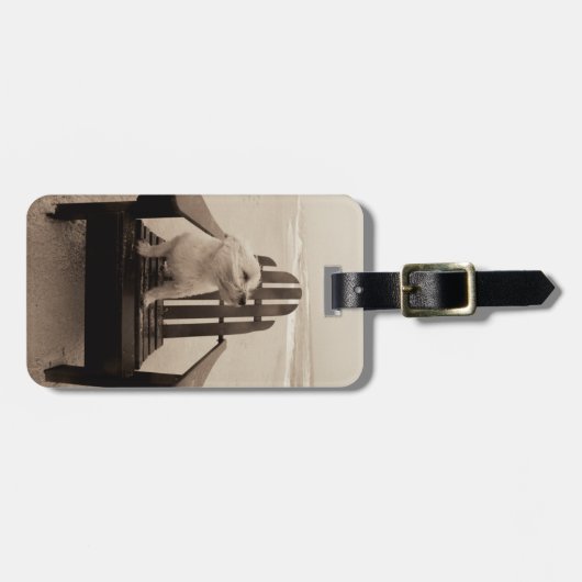 Dog die de strand aanpast bagagelabel (Voorkant horizontaal)