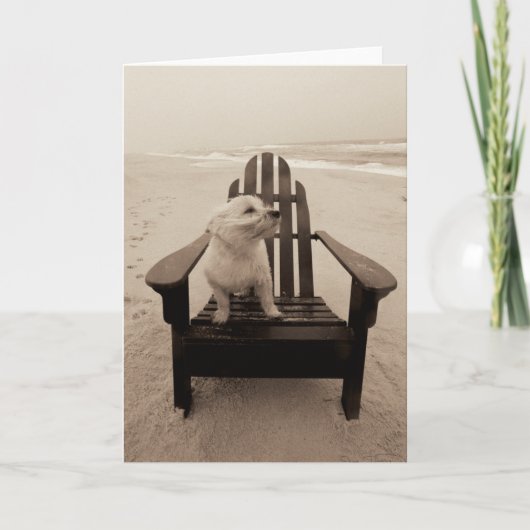 Dog die de strand aanpast kaart (Voorkant)