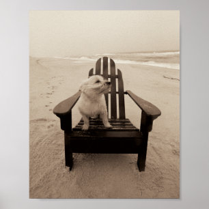 Dog die de strand aanpast poster