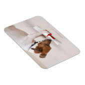 Dog die een diploma uitzoekt magneet (Rechterzijde)