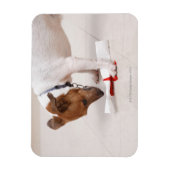 Dog die een diploma uitzoekt magneet (Verticaal)