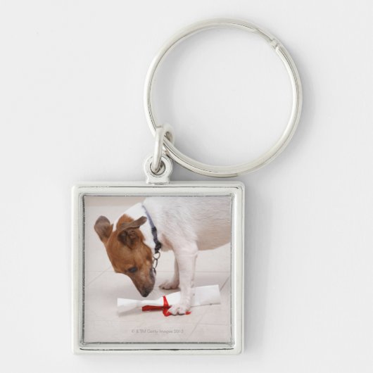 Dog die een diploma uitzoekt sleutelhanger (Voorkant)
