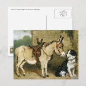 Dog & Donkey Animal Friends - kunst van Emms Briefkaart (Voorkant / Achterkant)