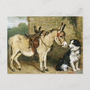 Dog & Donkey Animal Friends -  kunst van Emms Briefkaart