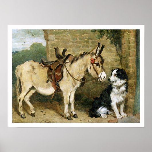 Dog & Donkey Animal Friends -  kunst van Emms Poster (Voorkant)