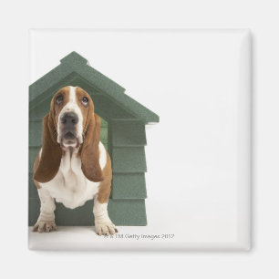 Dog door doghouse magneet