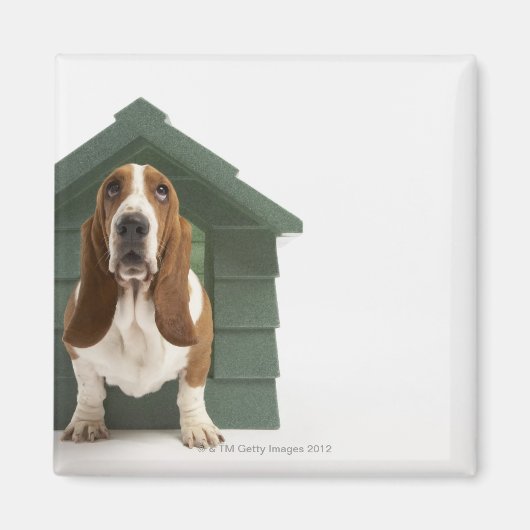Dog door doghouse magneet (Voorkant)