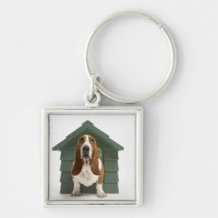 Dog door doghouse sleutelhanger