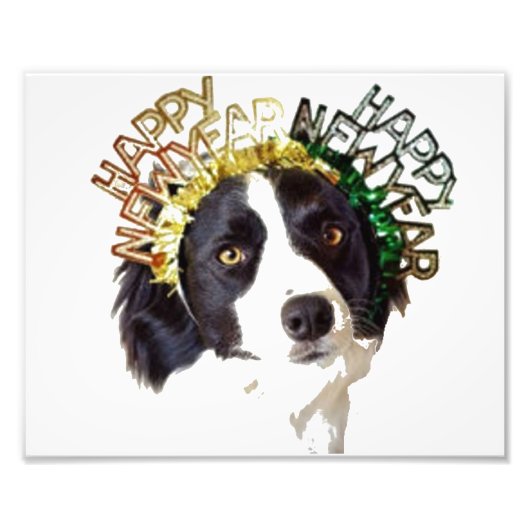 Dog draagt Happy New Years Pet Foto Afdruk (Voorkant)