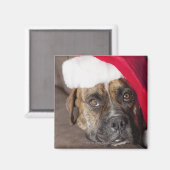 Dog draagt kersthoed magneet (Voorkant / Achterkant)