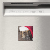 Dog draagt kersthoed magneet (Insitu (Vaatwasser))