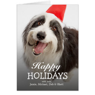 Dog draagt Santa hat