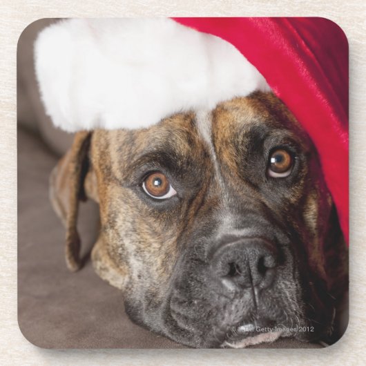 Dog draagt Santa hat Drankjes Onderzetter (Voorkant)