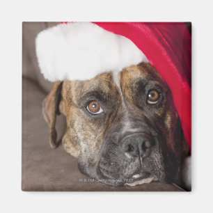 Dog draagt Santa hat Magneet