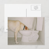 Dog Drink uit Toilet Briefkaart (Voorkant / Achterkant)