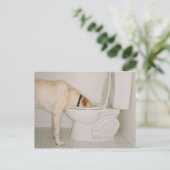 Dog Drink uit Toilet Briefkaart (Staand voorkant)