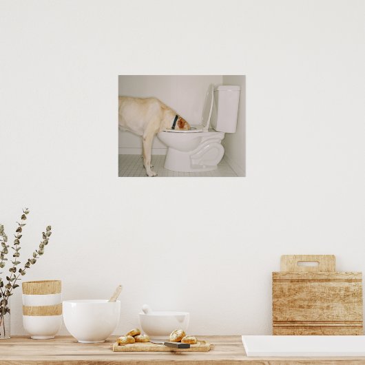 Dog Drink uit Toilet Poster (Keuken)
