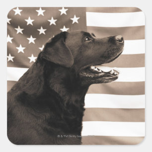 Dog en Amerikaanse vlag Vierkante Sticker