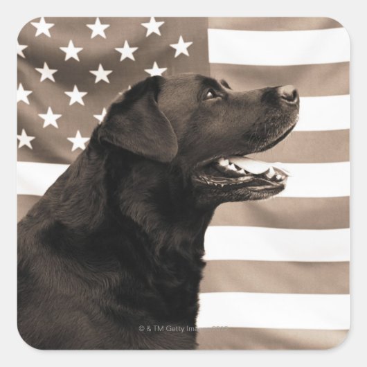 Dog en Amerikaanse vlag Vierkante Sticker (Voorkant)
