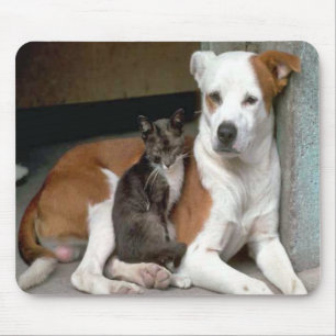 Dog en Cat Mousepad Muismat