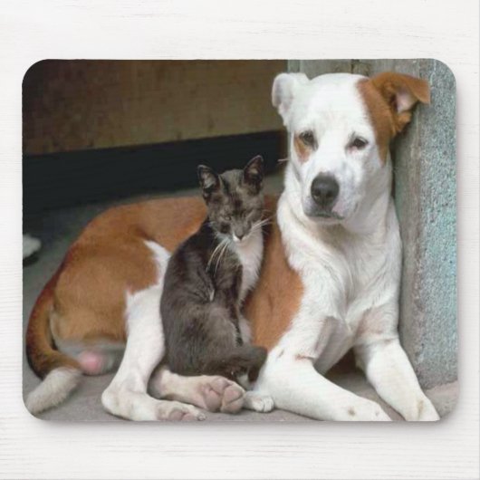 Dog en Cat Mousepad Muismat (Voorkant)
