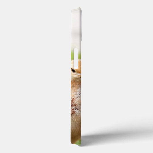 Dog en Chick Case-Mate iPhone Case (Achterkant / Rechts)