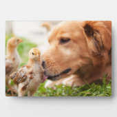 Dog en Chick Fotoplaat (voorkant)