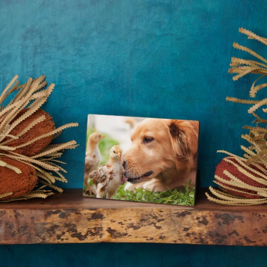 Dog en Chick Fotoplaat (Zijkant)