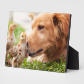 Dog en Chick Fotoplaat (Zijkant)