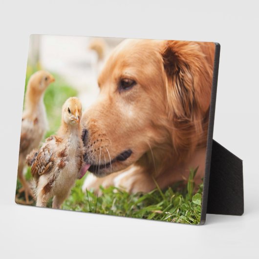 Dog en Chick Fotoplaat (Zijkant)
