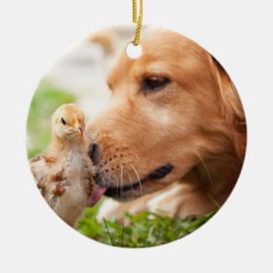 Dog en Chick Keramisch Ornament