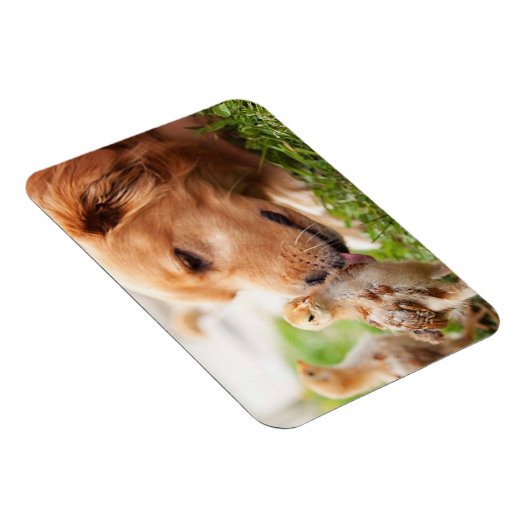 Dog en Chick Magneet (Rechterzijde)