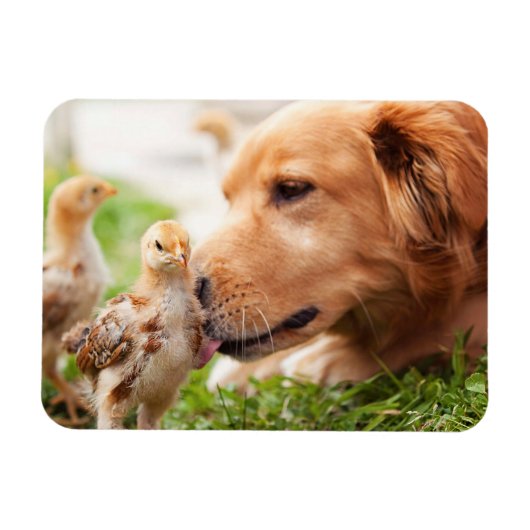 Dog en Chick Magneet (Horizontaal)