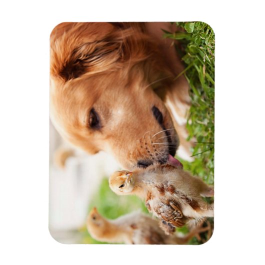Dog en Chick Magneet (Verticaal)