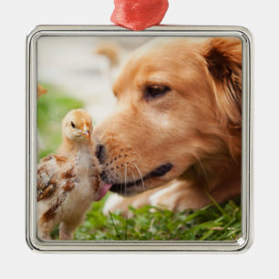 Dog en Chick Metalen Ornament