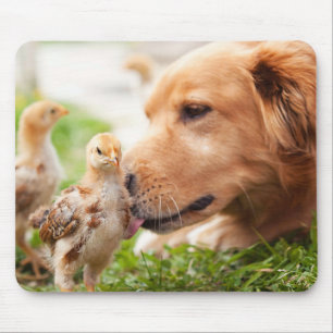 Dog en Chick Muismat