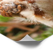 Dog en Chick Poster (Hoek)