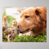 Dog en Chick Poster (Voorkant)