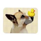 Dog en Duck Magneet (Horizontaal)